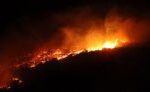 incendios-florestais-na-coreia-do-sul-matam-4-pessoas-e-deslocam-milhares