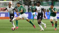 palmeiras-pode-realizar-feito-inedito-em-caso-de-titulo-no-paulistao