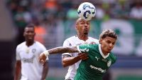 abel-e-sincero-sobre-fase-dos-jogadores-do-palmeiras-e-revela-abalo-mental