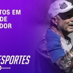 inter-e-palmeiras-fazem-duelo-de-grande-expectativa-pelo-brasileirao